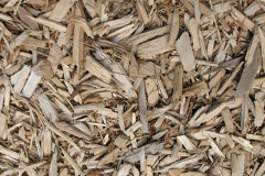 biomass boilers Urgha